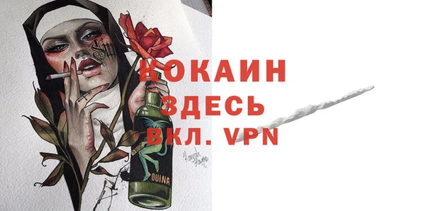 spice Инта
