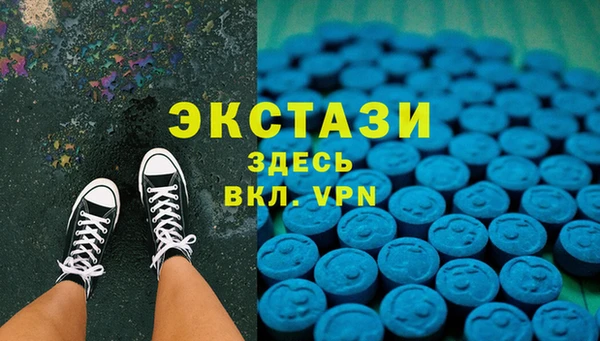 spice Инта