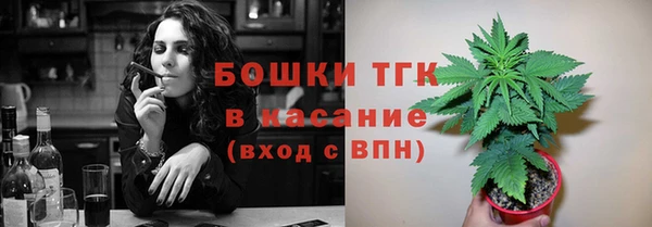 spice Инсар