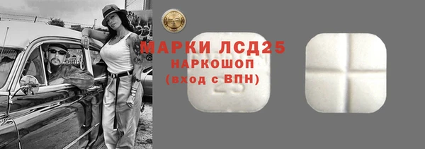 spice Инсар
