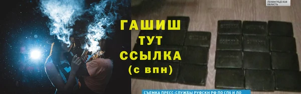 spice Инта