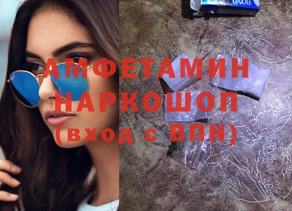 spice Инта