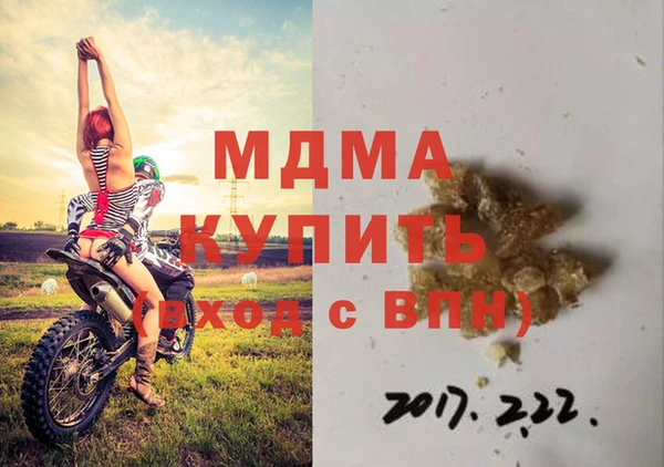 spice Инта