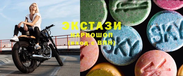 spice Инта