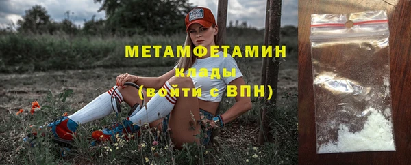 spice Инта